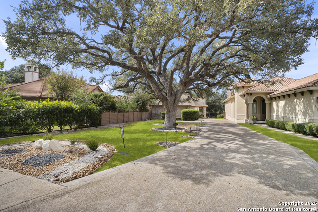 Image 43 of 46 For 19103 Birdsong W