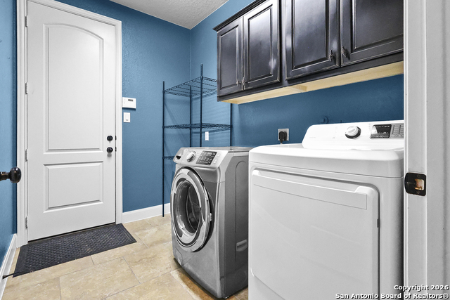 Image 16 of 47 For 3843 Ox-eye Daisy