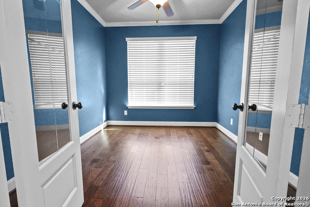 Image 17 of 47 For 3843 Ox-eye Daisy