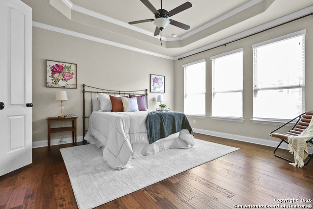 Image 18 of 47 For 3843 Ox-eye Daisy