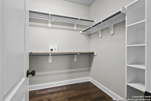 Image 25 of 47 For 3843 Ox-eye Daisy