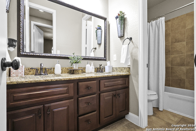 Image 28 of 47 For 3843 Ox-eye Daisy