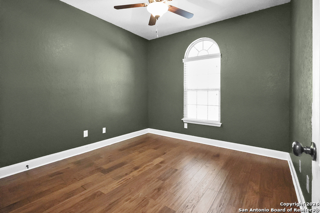 Image 29 of 47 For 3843 Ox-eye Daisy