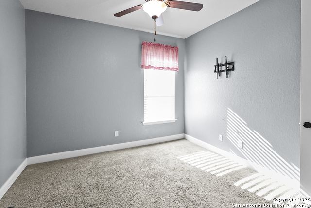 Image 31 of 47 For 3843 Ox-eye Daisy