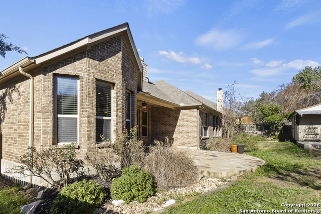 Image 32 of 47 For 3843 Ox-eye Daisy