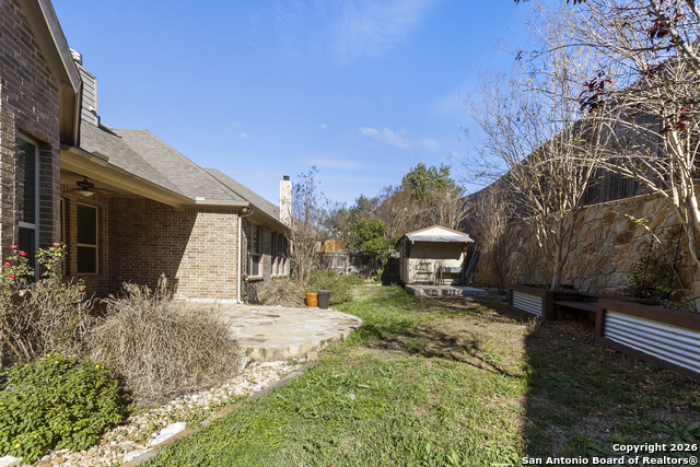 Image 33 of 47 For 3843 Ox-eye Daisy