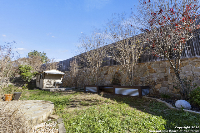 Image 34 of 47 For 3843 Ox-eye Daisy