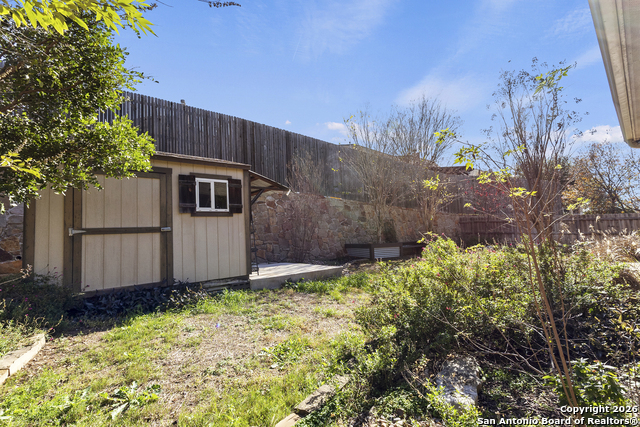 Image 36 of 47 For 3843 Ox-eye Daisy