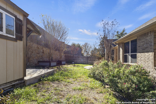 Image 37 of 47 For 3843 Ox-eye Daisy