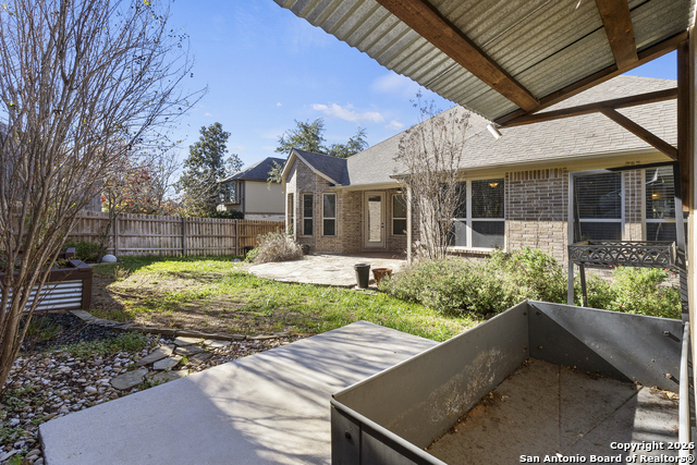 Image 38 of 47 For 3843 Ox-eye Daisy