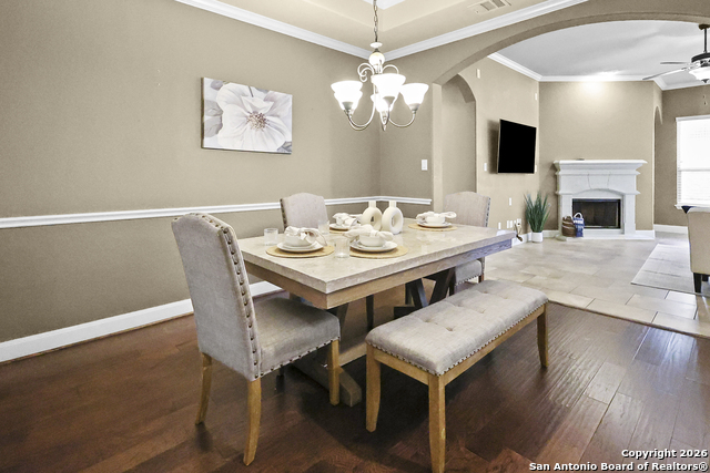 Image 4 of 47 For 3843 Ox-eye Daisy