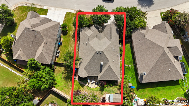 Image 40 of 47 For 3843 Ox-eye Daisy