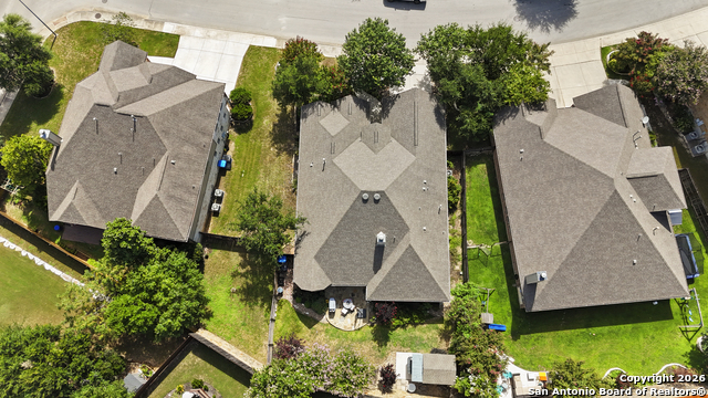 Image 42 of 47 For 3843 Ox-eye Daisy