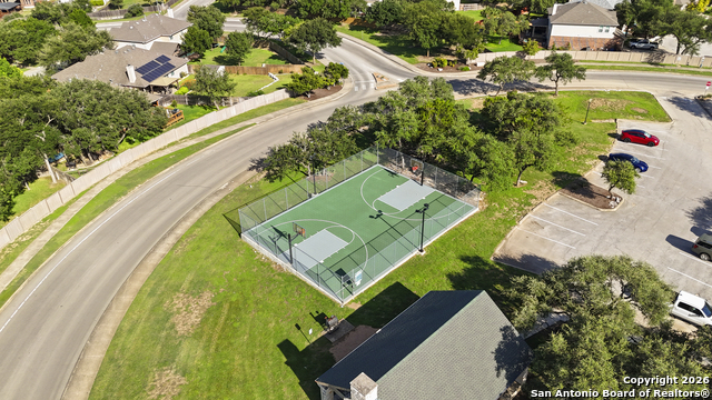 Image 45 of 47 For 3843 Ox-eye Daisy