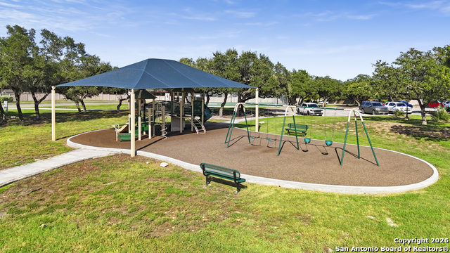 Image 46 of 47 For 3843 Ox-eye Daisy
