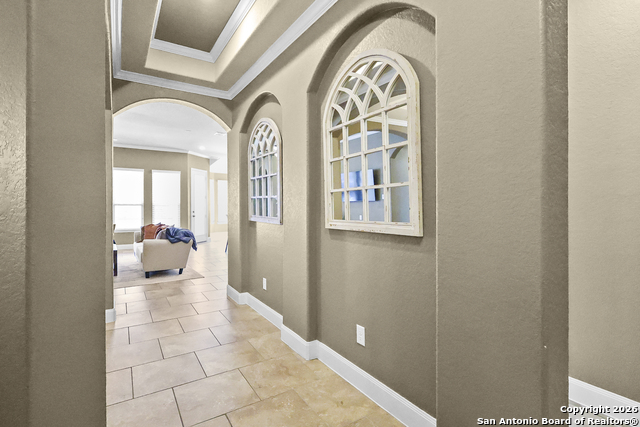 Image 5 of 47 For 3843 Ox-eye Daisy