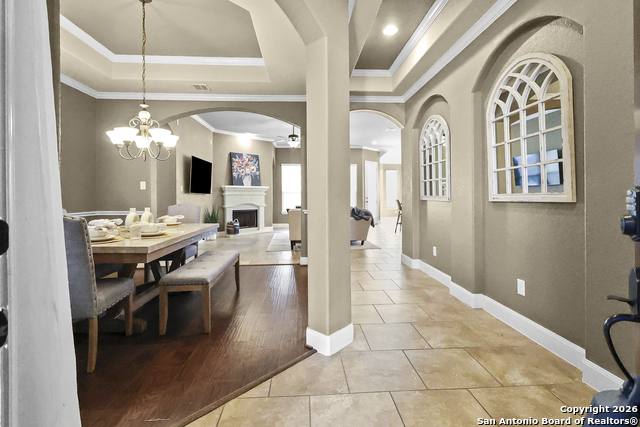 Image 6 of 47 For 3843 Ox-eye Daisy