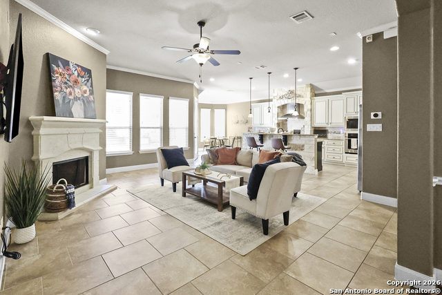 Image 7 of 47 For 3843 Ox-eye Daisy