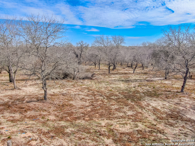 Image 9 of 17 For 1511 Meadow Glen