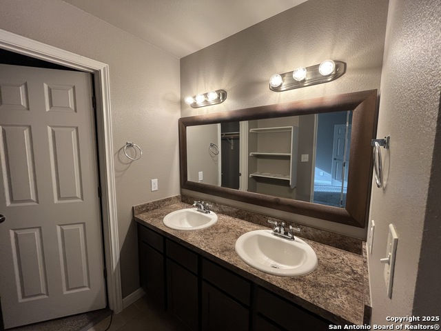 Image 13 of 23 For 8807 Arabian King