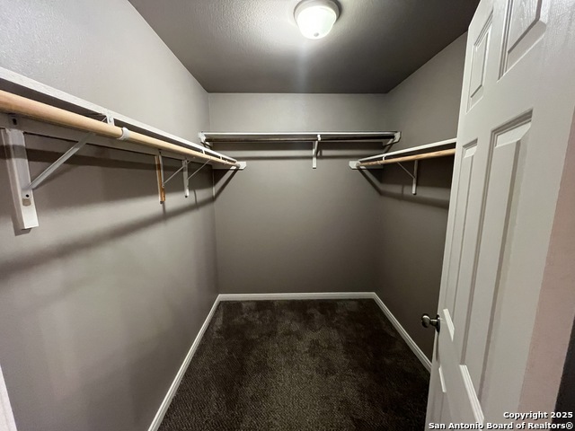 Image 16 of 23 For 8807 Arabian King