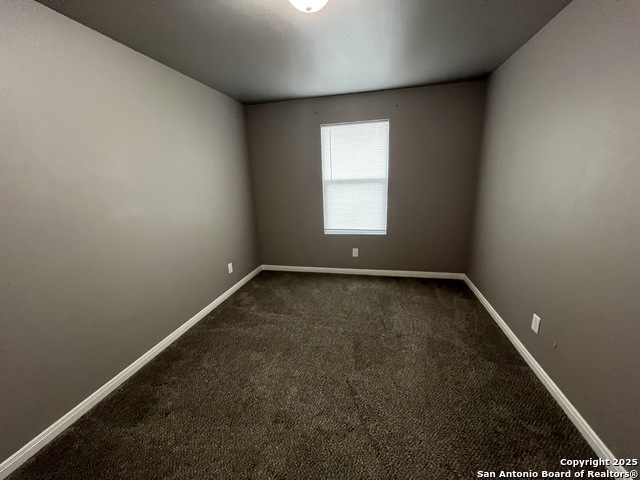 Image 21 of 23 For 8807 Arabian King