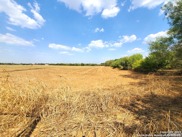 Image 5 of 13 For 18996 Frank Hoffman Rd