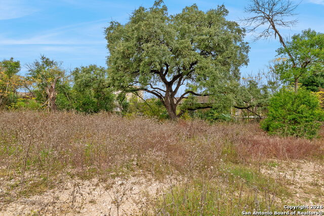 Details for 8226 Country Lane Court, San Antonio, TX 78209