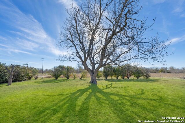 Listing photo id 26 for 19414 Lockwood