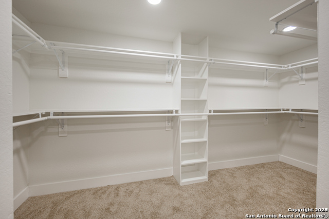 Image 25 of 34 For 123 Marchmont