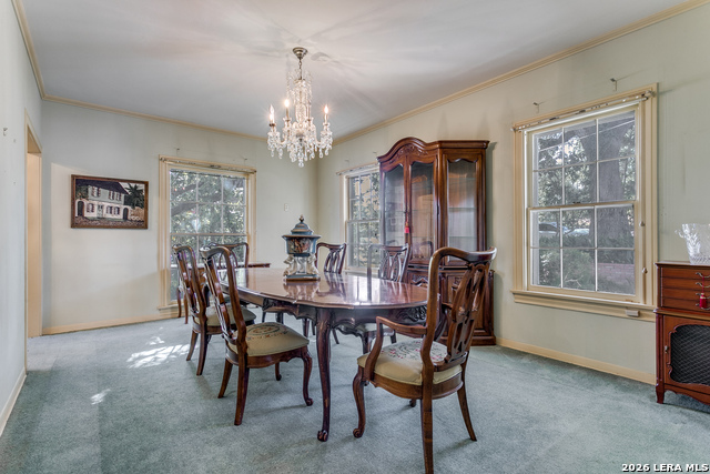 Listing photo id 12 for 131 Mary D  