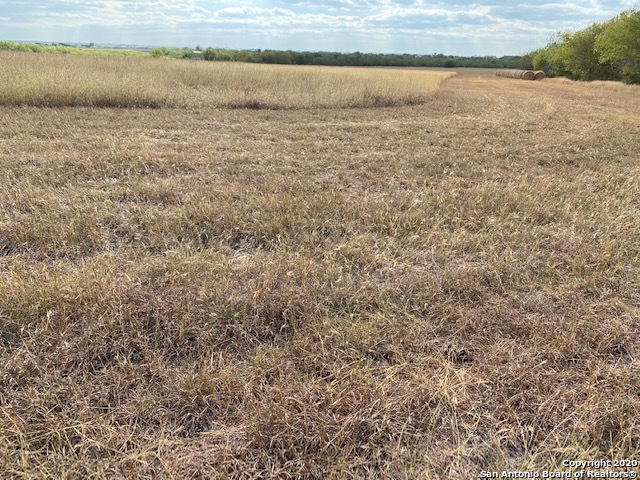 Listing photo id 17 for 12020 Interstate 10