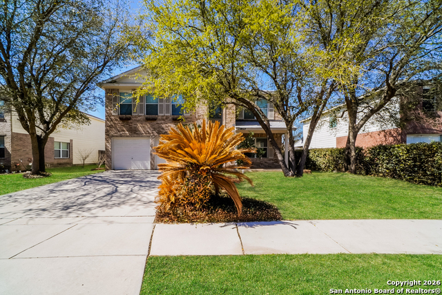 Details for 15827 Brisbane Drive, Selma, TX 78154