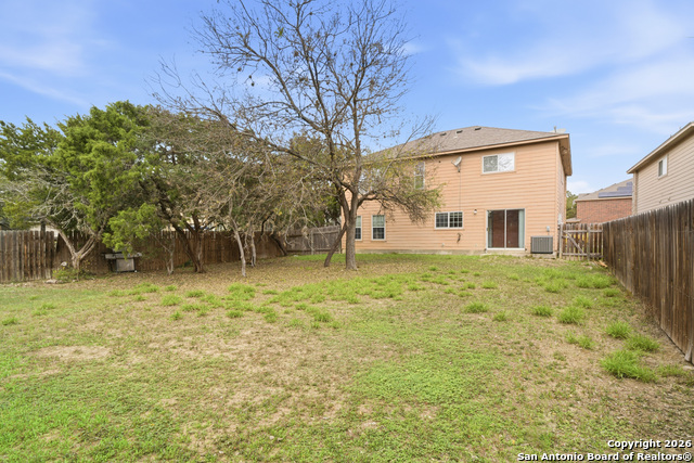 Image 12 of 12 For 9506 Braun Willow