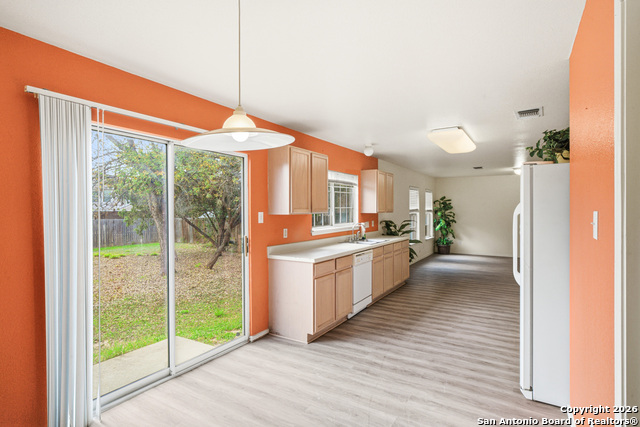 Image 5 of 12 For 9506 Braun Willow