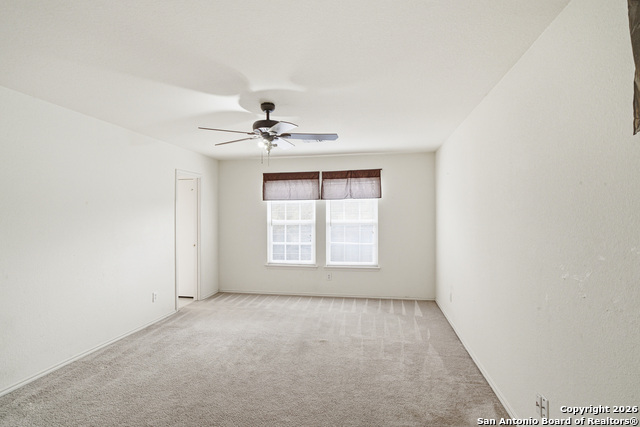 Image 8 of 12 For 9506 Braun Willow