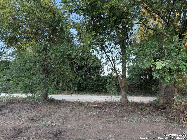 Listing photo id 10 for 500 Cr 388  