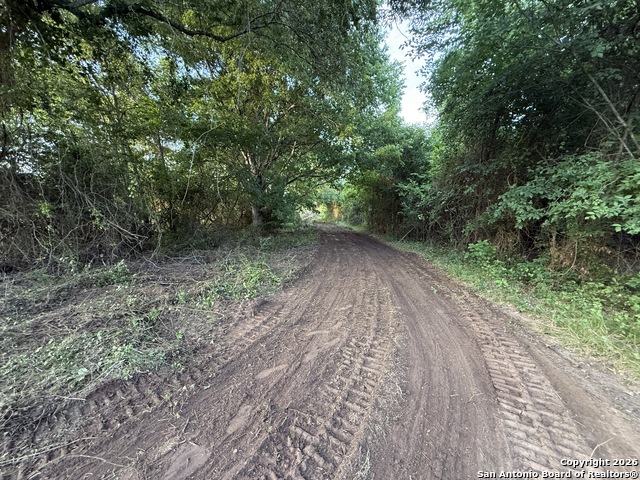 Listing photo id 5 for 500 Cr 388  