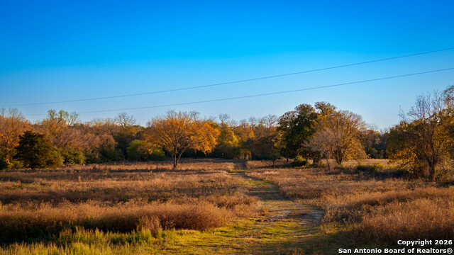 Listing photo id 16 for 163 County Road 283