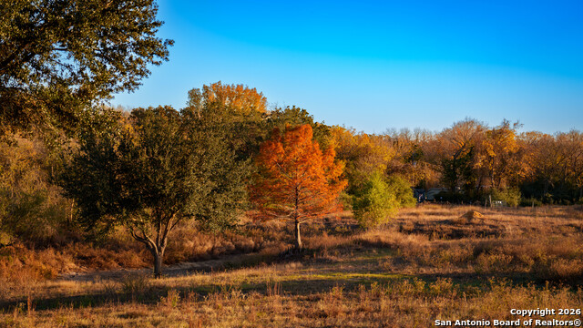 Listing photo id 27 for 163 County Road 283