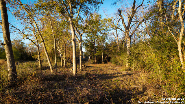 Listing photo id 28 for 163 County Road 283