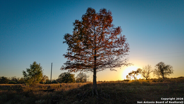 Listing photo id 30 for 163 County Road 283