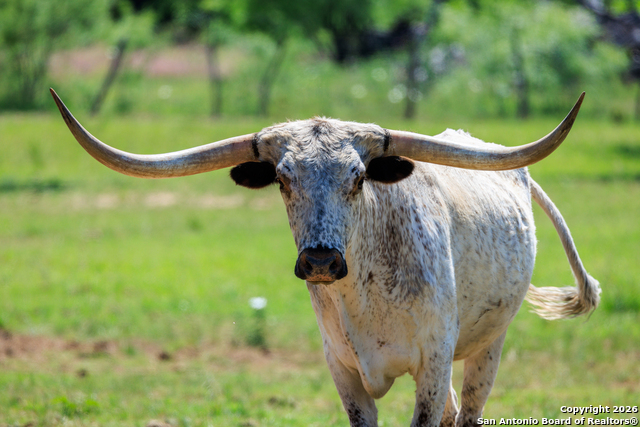 Image 4 of 46 For 308 Oakhaven Lane