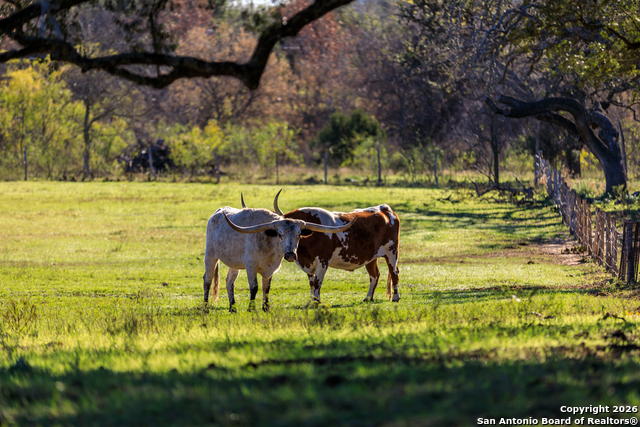 Image 40 of 46 For 308 Oakhaven Lane