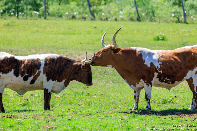 Image 46 of 46 For 308 Oakhaven Lane