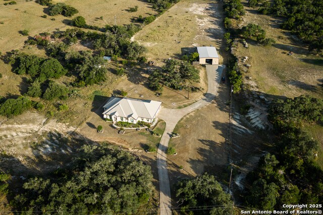 Image 3 of 50 For 362 Coneflower