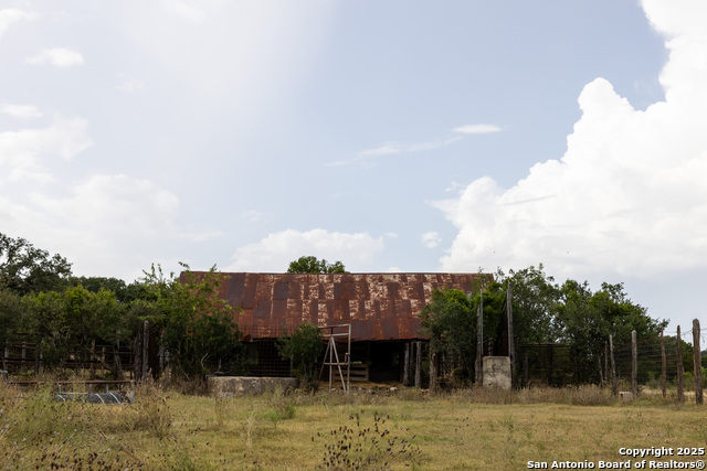 Image 37 of 50 For 362 Coneflower