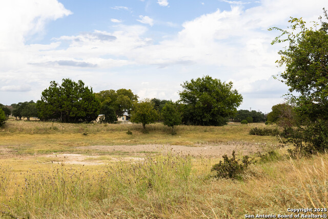 Image 39 of 50 For 362 Coneflower