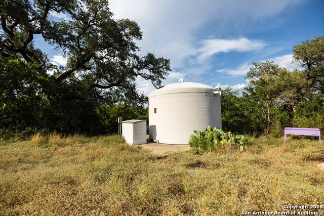 Image 42 of 50 For 362 Coneflower