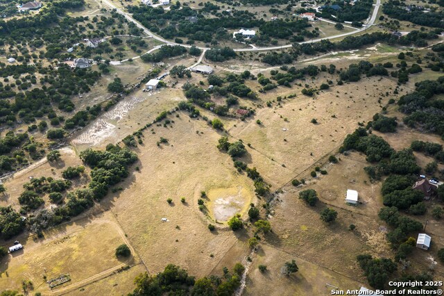 Image 46 of 50 For 362 Coneflower